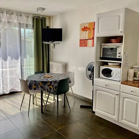 Apartment Cosy 24 M² Avec Balcon, Proche Cures Et Centre-ville, Animaux Bienvenus ! - Fr-1-703-109 Amelie-les-Bains-Palalda