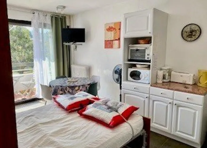 Cosy 24 M² Avec Balcon, Proche Cures Et Centre-ville, Animaux Bienvenus ! - Fr-1-703-109 Apartman Amélie-les-Bains-Palalda