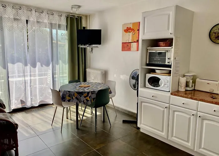 Apartman Cosy 24 M² Avec Balcon, Proche Cures Et Centre-ville, Animaux Bienvenus ! - Fr-1-703-109 Amélie-les-Bains-Palalda